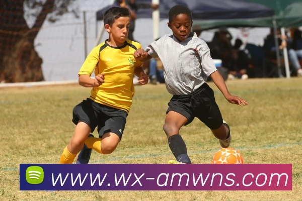 威尼斯人官网平台生态图